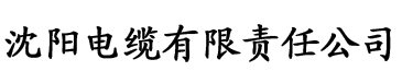 炮炮视频18禁电缆厂logo